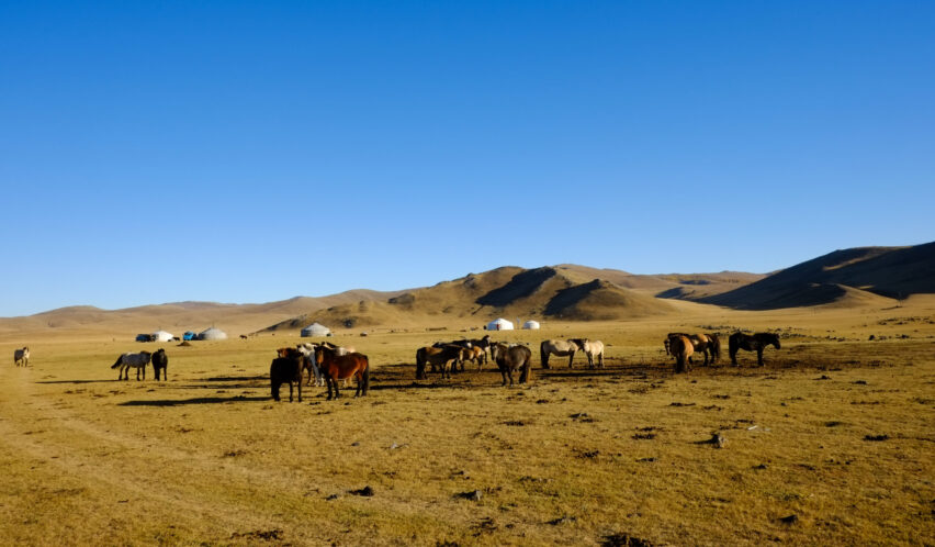 Ohrengeschichten: Zu Besuch in der Mongolei