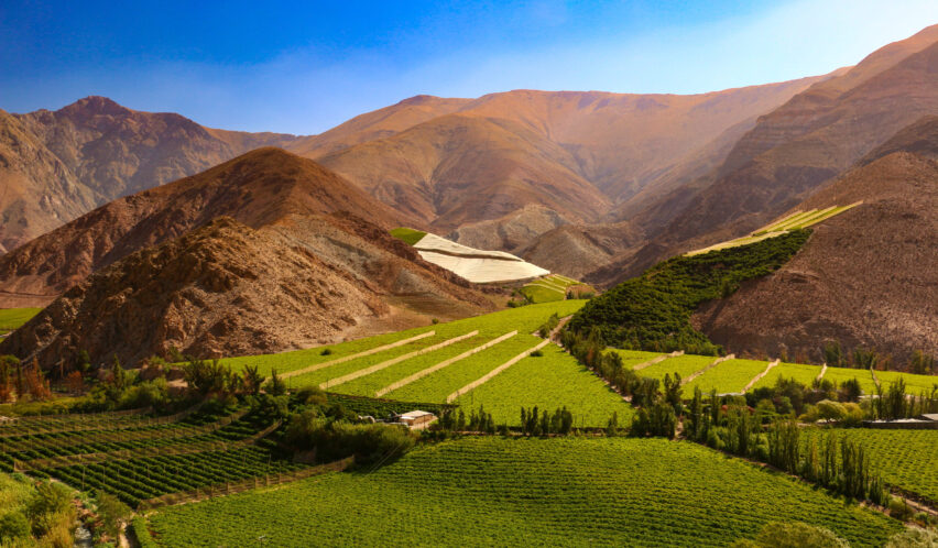 Das Elqui-Tal in den Weinbergen von Chile.
