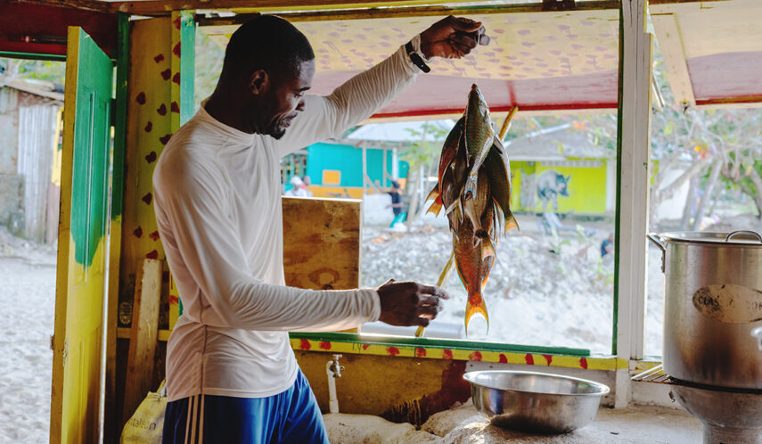 Frischer Fisch aus Jamaika.